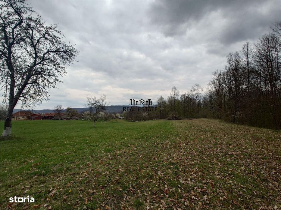 10 000 mp teren intravilan cu priveliste