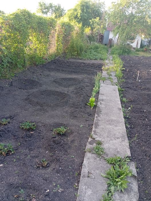 Продам дачу в новой-бухтарме