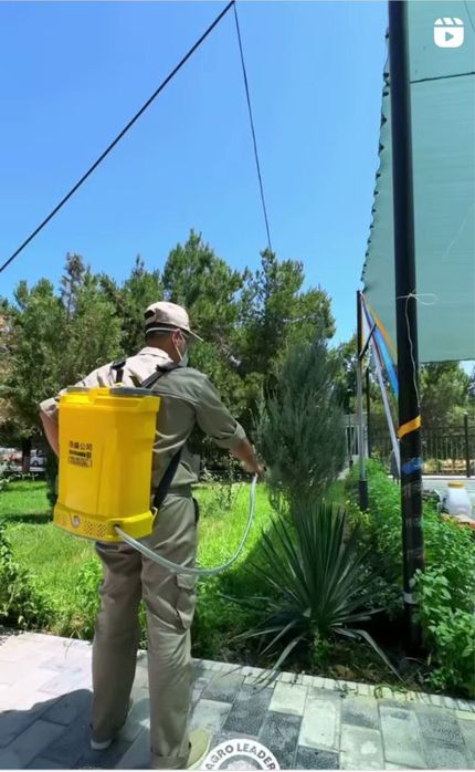 Archa va daraxtlarni dorilash xizmati