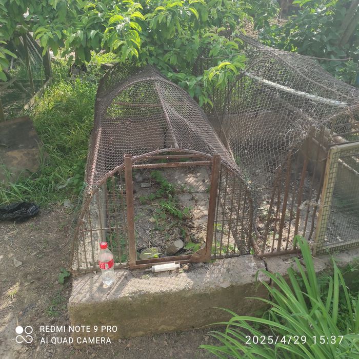 Joja boqishga qafas sotiladi