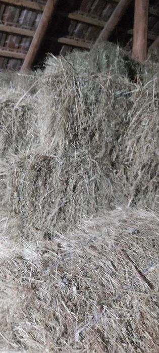 VÂND fân in baloti