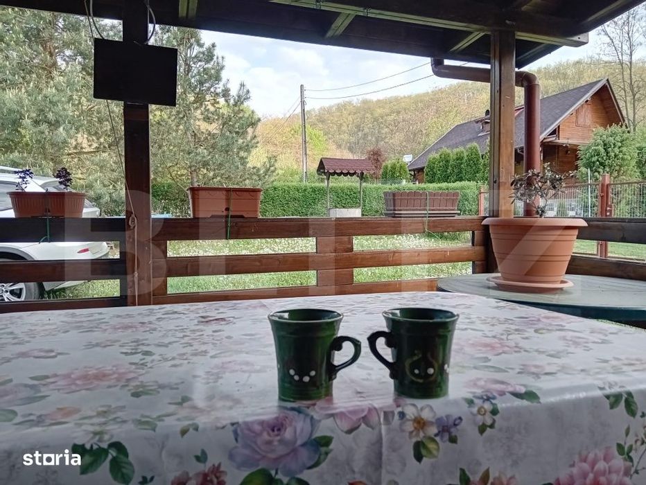 Cabana + teren generos, 60 mp utili, 30 km de Deva - Boz