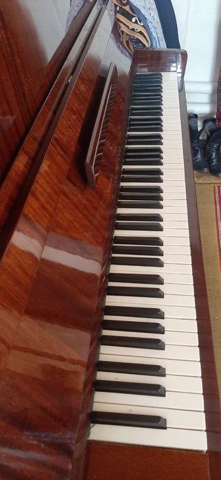 Хобби, отдых и спорт