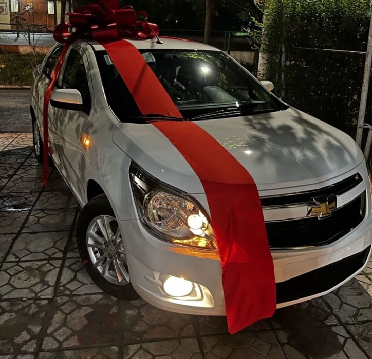 COBALT Gx stail 2025 srochna mcm msm