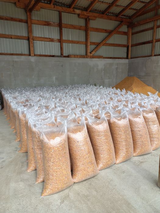 De vânzare porumb și grâu.