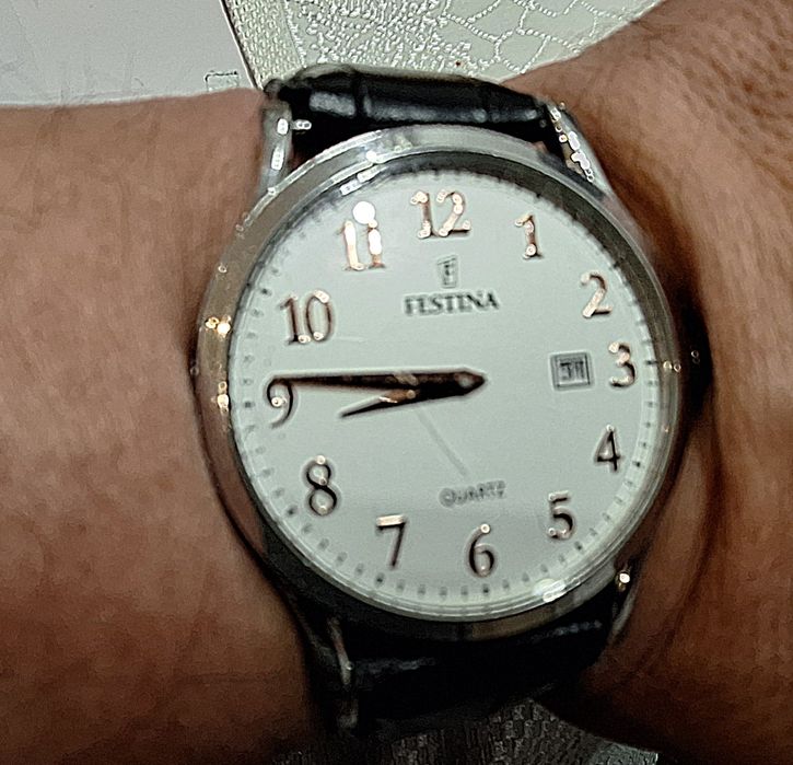 Мъжки часовник Festina - F16520/3 - Класически