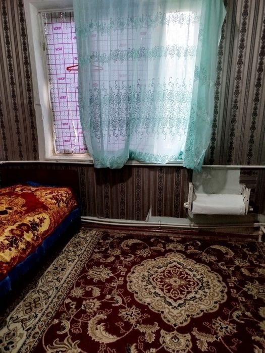 кора камиш 1/4 аренда