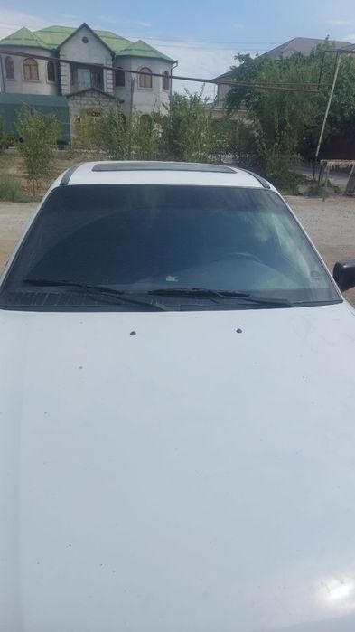 Nexia2 lux kandisaner dons