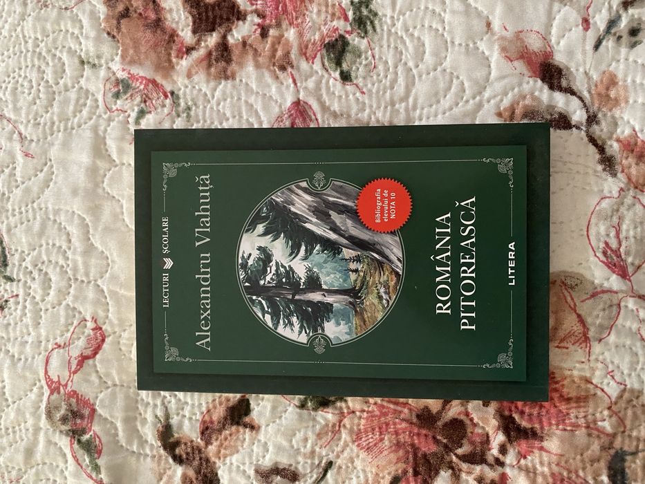 Romania Pictorească,Alexandru Vlahuță