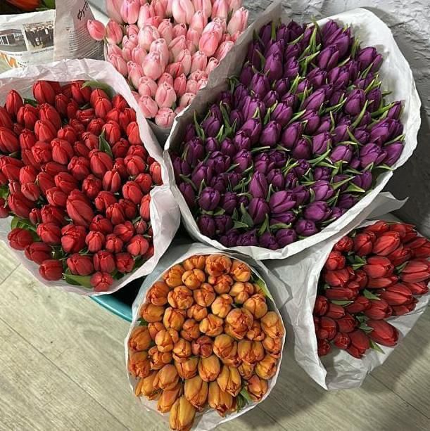 Тюльпаны оптом Астана