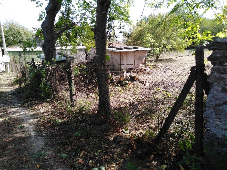 извозване на трева храсти клони разумните цени