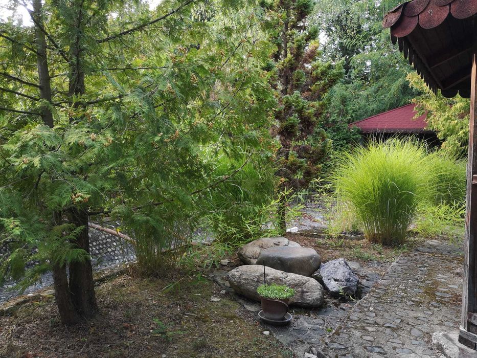 Casa + anexa locuibila + curte, gradina, padure peste 5000 mp