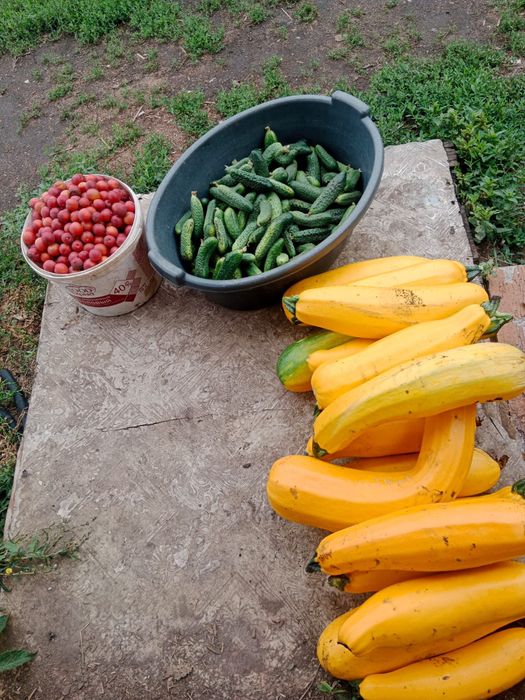 Продам дачу пкст краснопартизанское