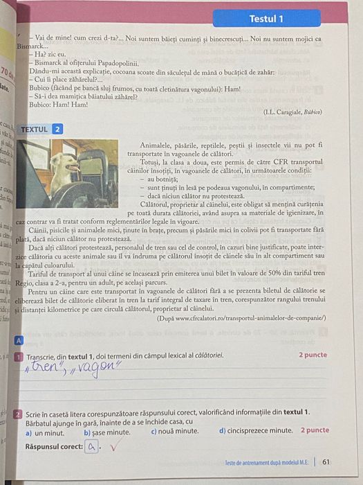 Culegere “Ne pregătim pentru Evaluarea Națională” română