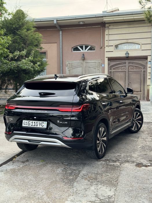 Byd Chempion 605 Ideal
