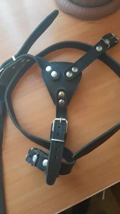 Шлейка  для питомца кожаная!!!