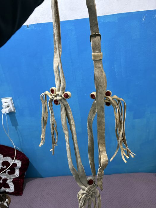 Өмілдірік құйысқан жүген ноқта