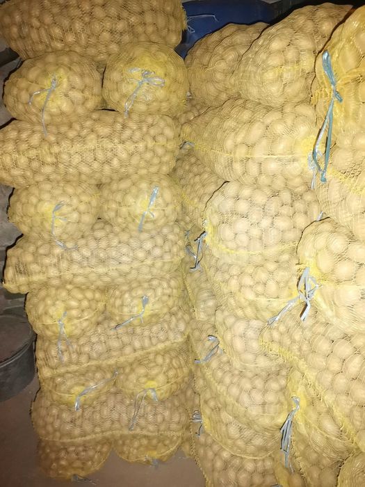 Картоф за семе и консумация (Сорая)