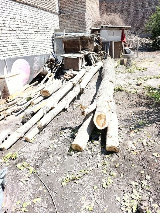 Продам тополь на дрова.