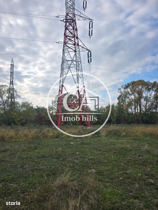 Teren extravilan 150.000 mp de vânzare in Tileagd, Bihor