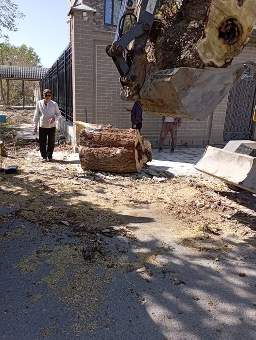 Уборка территории аула тазлау