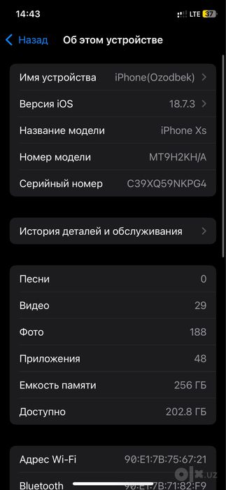 Iphone Xs 256 GB