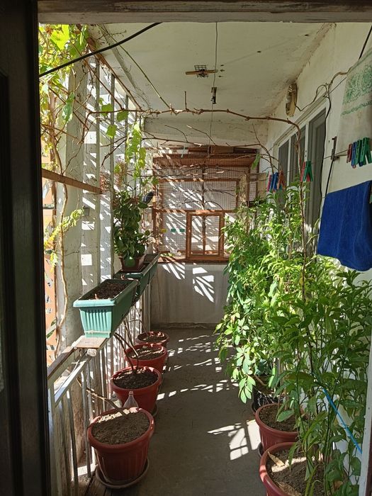 м. Дружба Народов 4 ком 120м²
