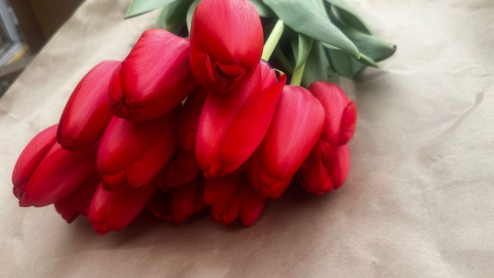 Тюльпаны оптом Алматы  Свежие к 8 Марта