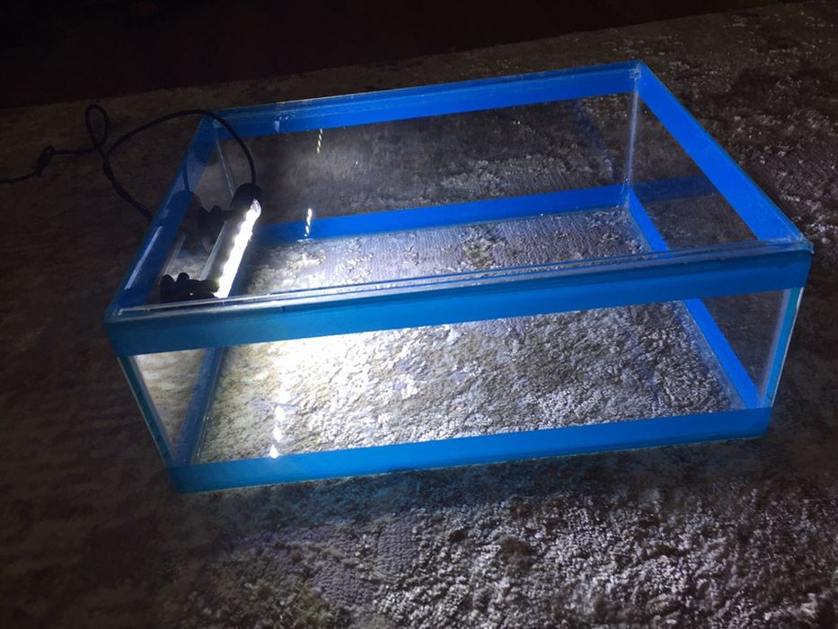 Терралиум стеклянный