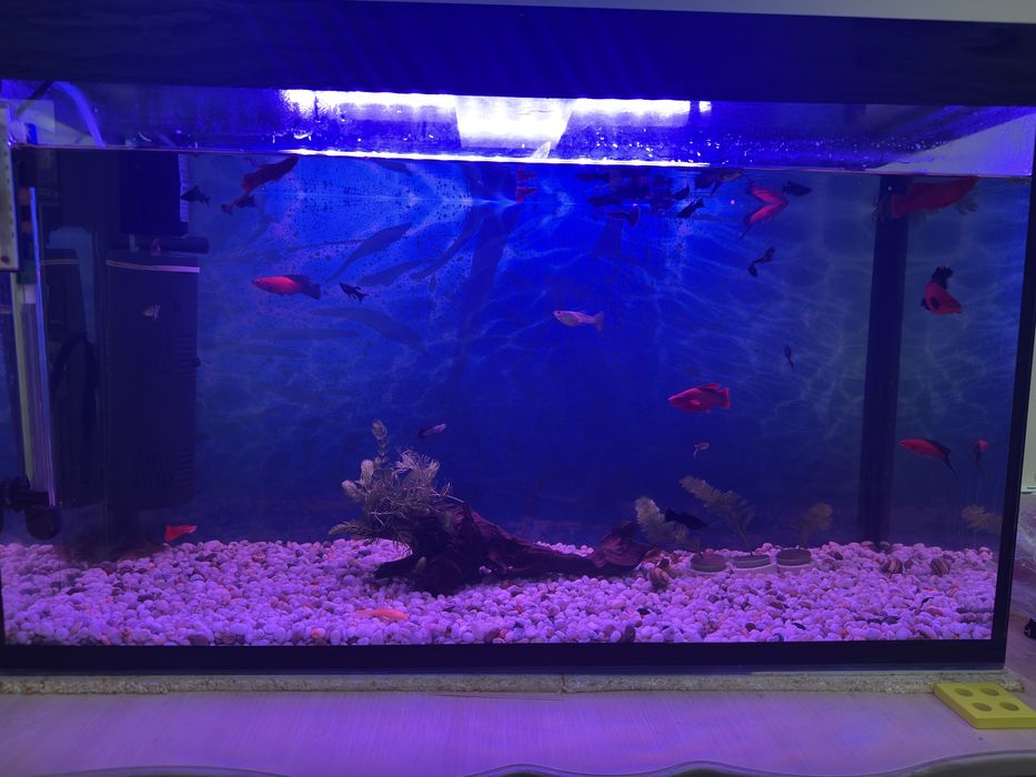 Продам аквариум 120 литров