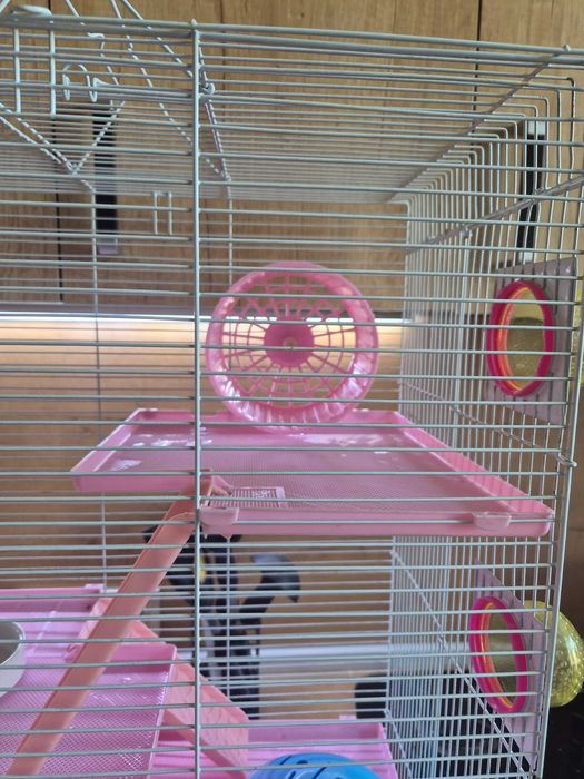 Клетка для хомяка