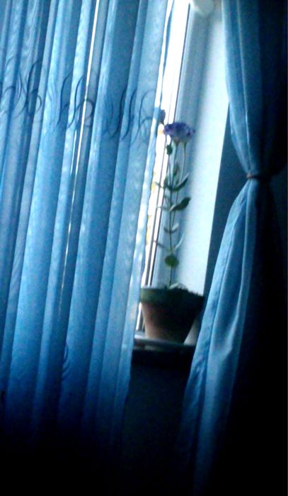 Perdea bleu 2,60m cu rejansă / 2,20m pentru galerie + 20 inele