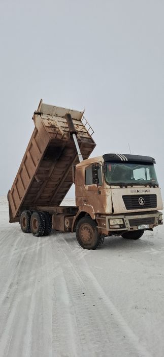 Продам шахман или обменяю на скот