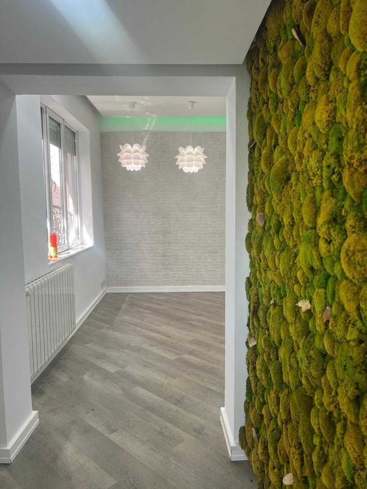 3 camere de inchiriat