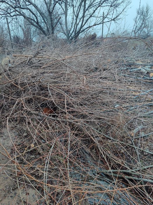 Отын бар бағасын келісеміз