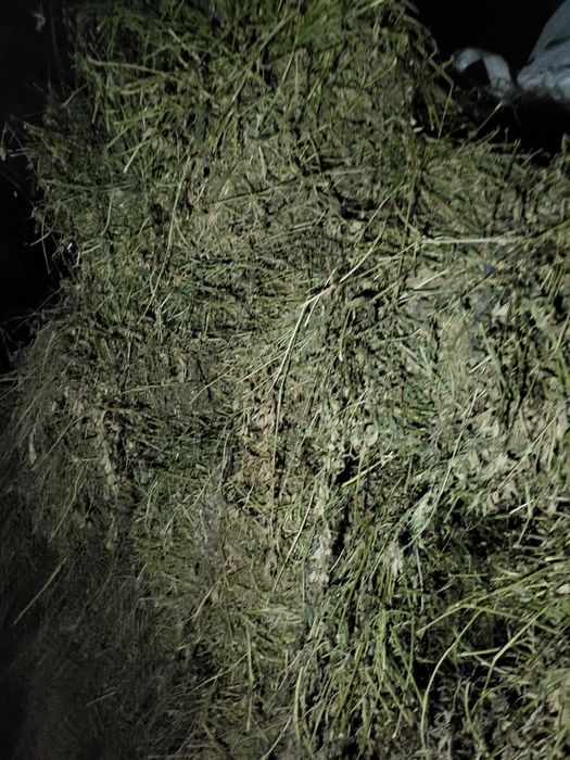 Vand baloti de lucerna