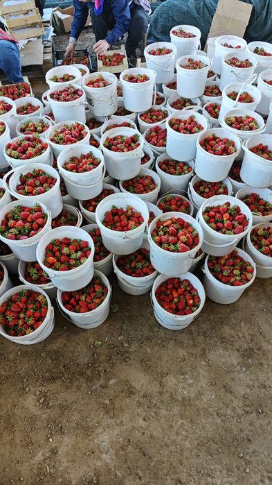 Продам землю  с готовым бизнесом