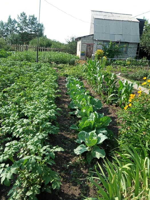 Дача С/о Алтайский энергетик