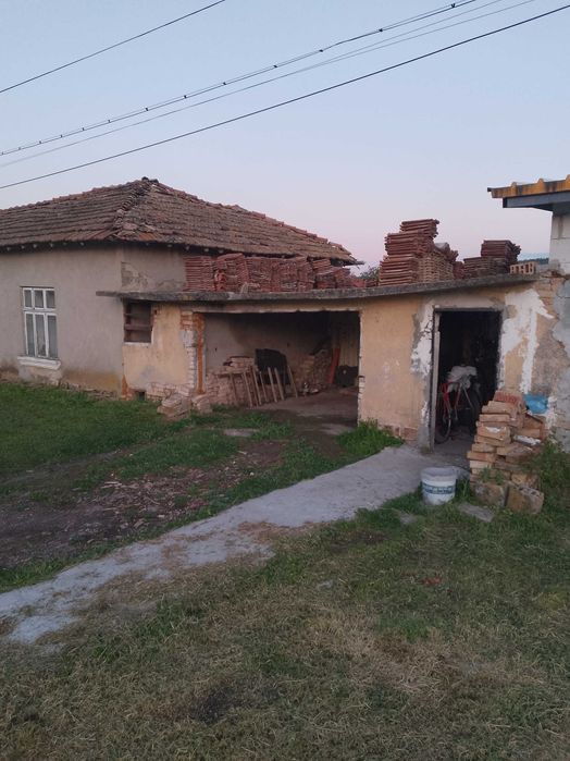 Керемиди 5 вида здрави има