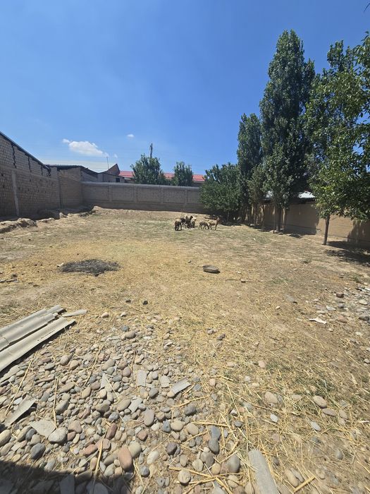 Nazarbek turkustonda yer sotiladi