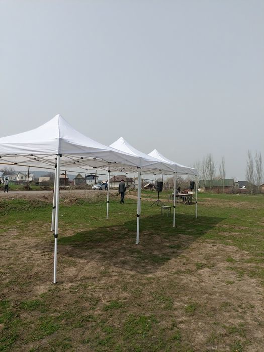 Аренда   Палатки