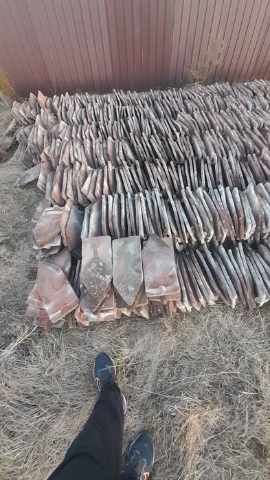 Țiglă solzi pește 1leu.