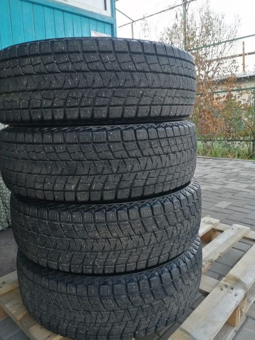 Bridgestone Blizzak DM-V1