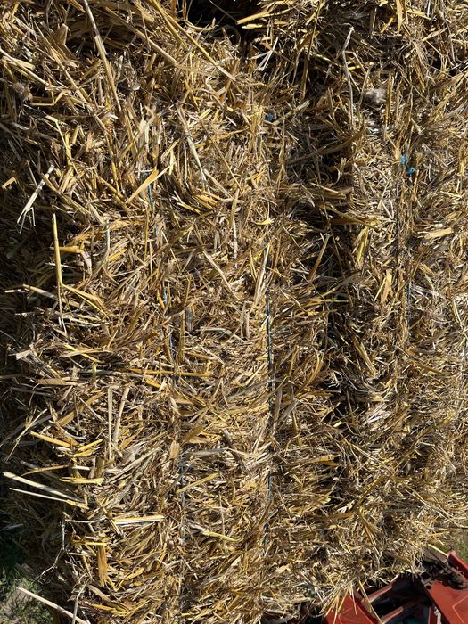 Vand baloti de paie ovaz