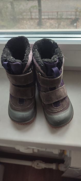 зимние сапоги ecco