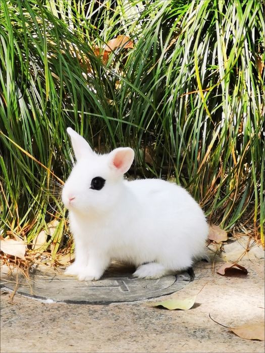 Yurakda qoladigan sovg‘a