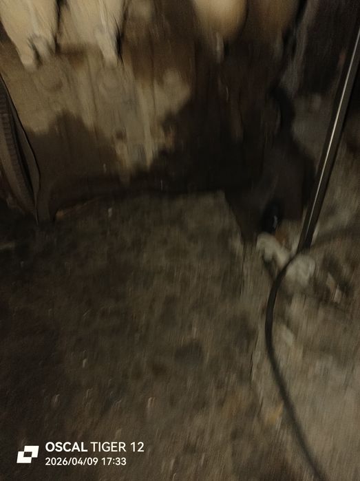 Двигатель тайота камри