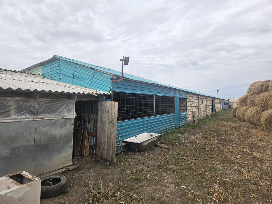 Дара тұрған жер үй сатылады