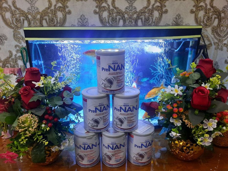 Nan pre orginal nestle