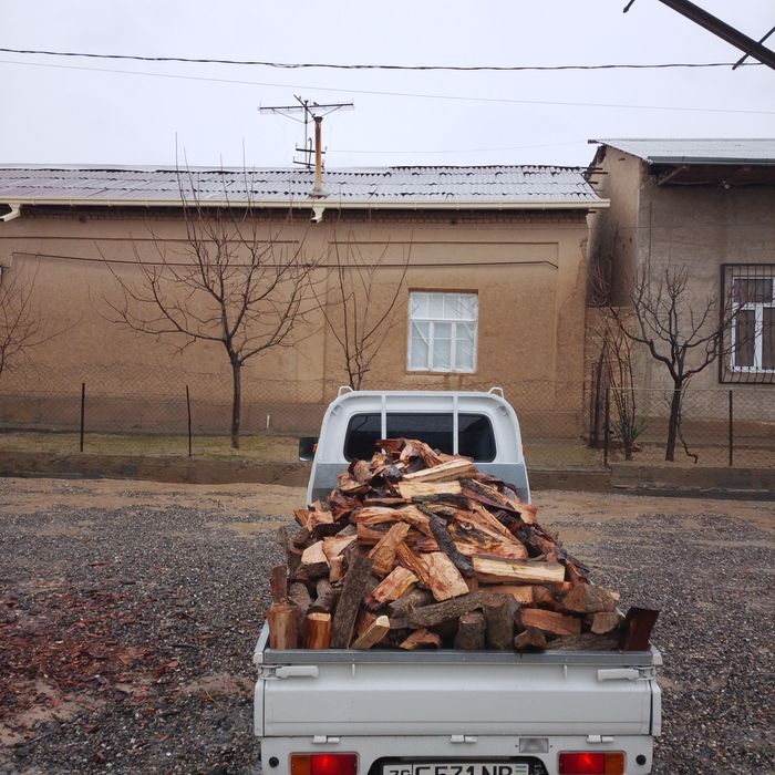 Утин дрова кесилган йорилган